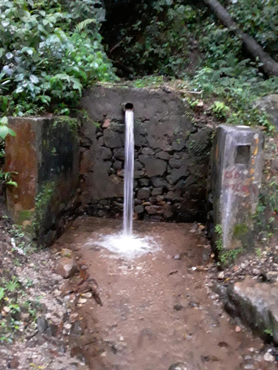 Mount View Family Rest & Cottage Haputale Esterno foto